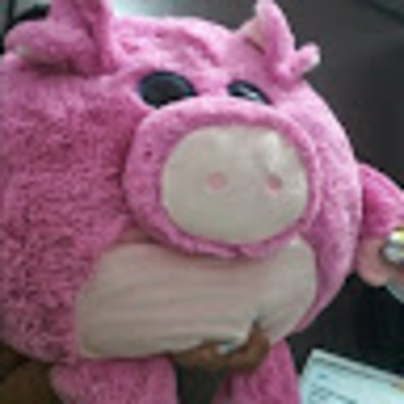 marranitogacela